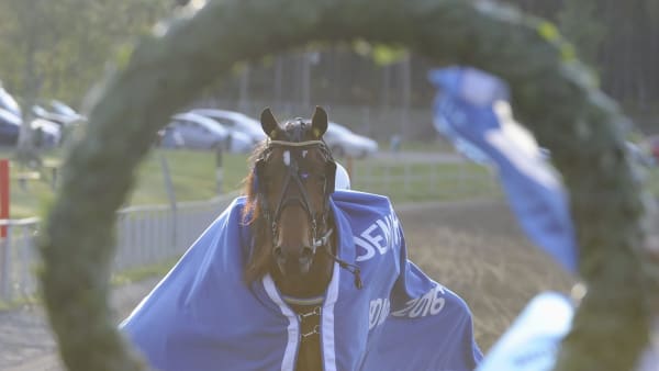 Foto: Christer Norin/ALN