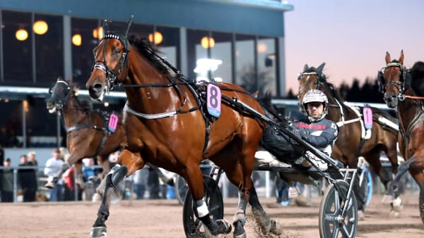 Foto: MARIA HOLMÉN / TR BILD