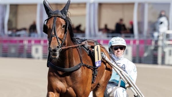 Foto: LENA EMMOTH / TR BILD