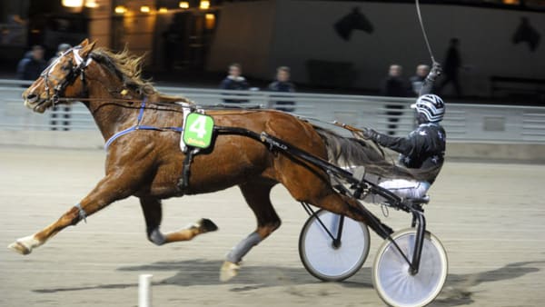 Foto: Martin Langels/ALN