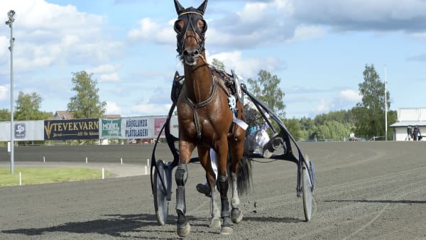 Foto: LARS JAKOBSSON / TR BILD