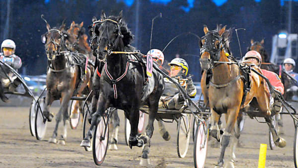 Foto: MARTIN LANGELS/ALN