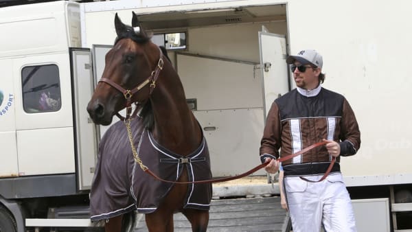 Foto: MIA TÖRNBERG, TRAVRONDEN