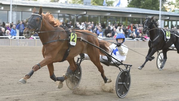 Foto: Leif Norberg/ALN