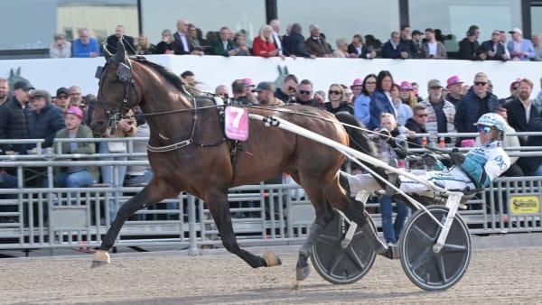 Foto: LARS JAKOBSSON / TR BILD