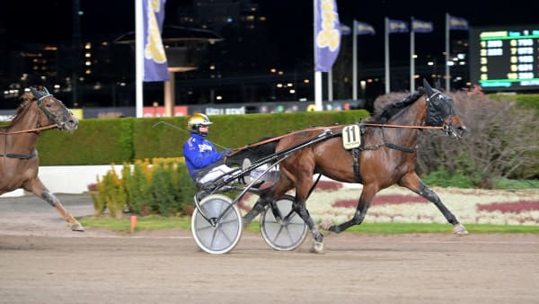 Foto: LARS JAKOBSSON / TR BILD