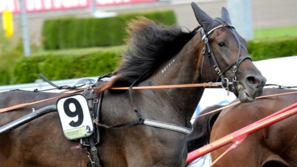 Foto: MARTIN LANGELS/ALN