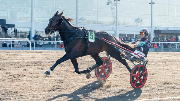 Foto: MIKAEL ROSENQUIST / TR BILD