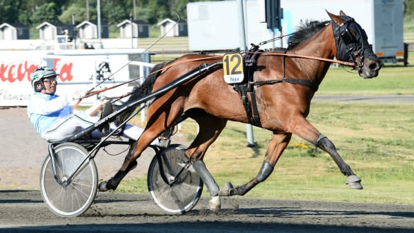 Foto: MALIN ALBINSSON/TR BILD