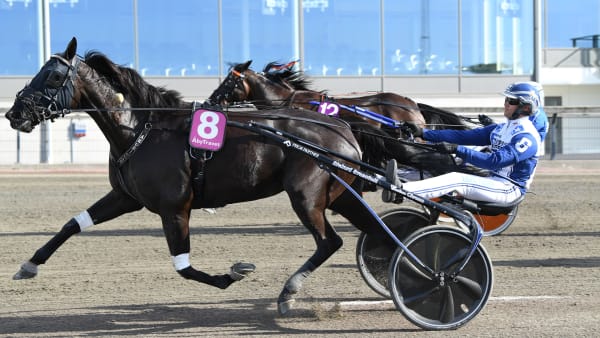 Foto: MALIN ALBINSSON TR BILD