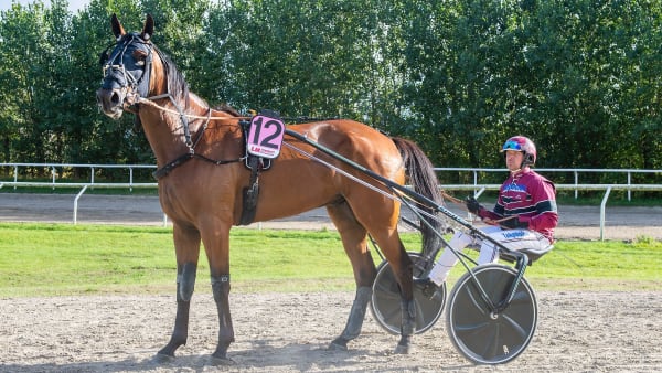 Foto: MIKAEL ROSENQUIST / TR BILD