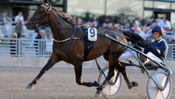 Foto: Simon Hagen/stalltz.se