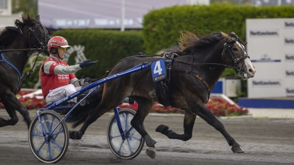 Foto: ROGER SVALSRÖD/HESTEGUIDEN