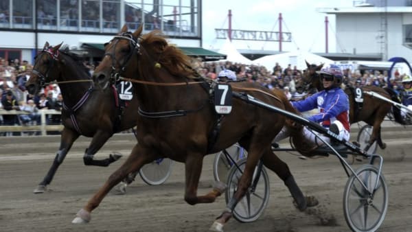 Foto: JÖRGEN TUFVESSON/ALN