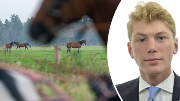 Foto: TR BILD/RIKSDAGEN