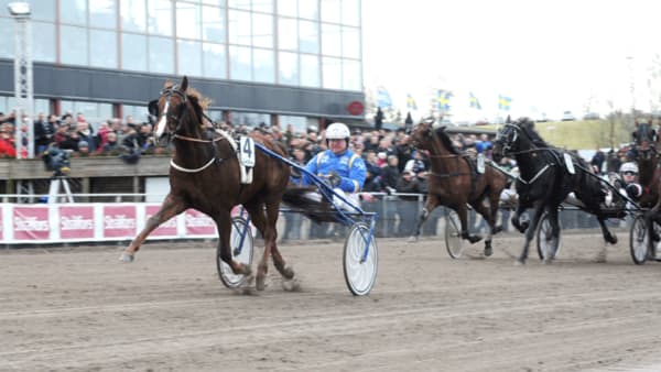 Foto: JÖRGEN TUFVESSON/ALN