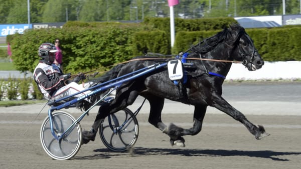 Foto: LARS JAKOBSSON / TR BILD