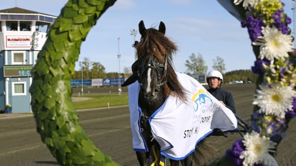 Foto: MARIA HOLMÈN/TR BILD