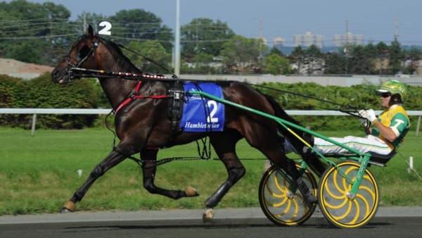 Foto: STEFAN MELANDER/STALLTZ.SE