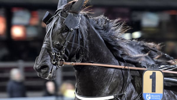 Foto: LARS JAKOBSSON / TR BILD