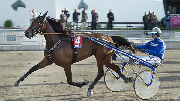 Foto: TOMMY ANDERSSON/ALN