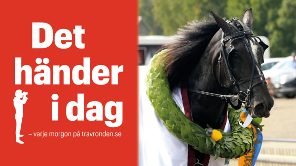 Foto: TR BILD