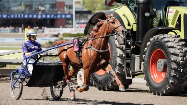 Foto: LENA EMMOTH / TR BILD