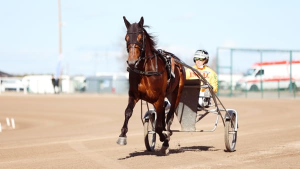 Foto: MAISA HYTTINEN/SUOMEN HIPPOS
