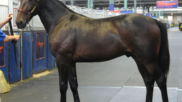 Foto: Stefan Melander/stalltz.se