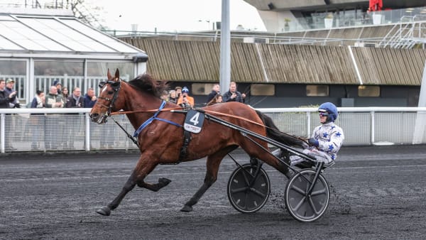 Foto: BRUNO VANDEVELDE/LE TROT