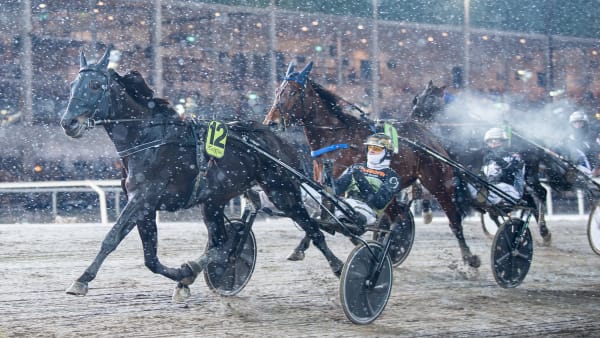 Foto: MIKAEL ROSENQUIST / TR BILD