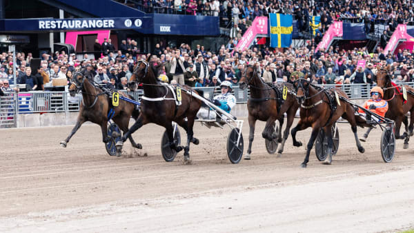 Foto: LENA EMMOTH / TR BILD