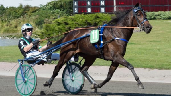 Foto: TOMMY ANDERSSON/ALN