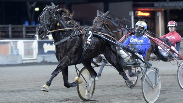 Foto: LARS JAKOBSSON / TR BILD