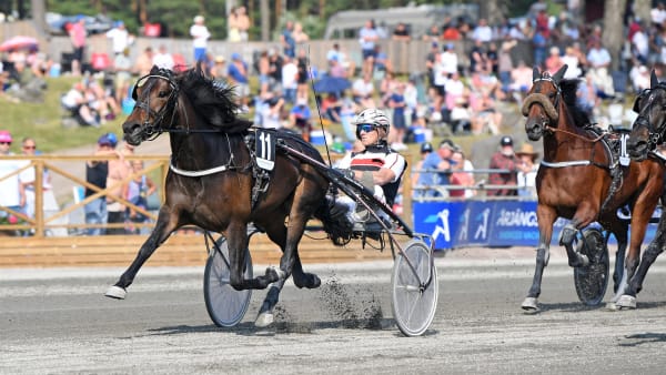 Foto: MALIN ALBINSSON / TR BILD