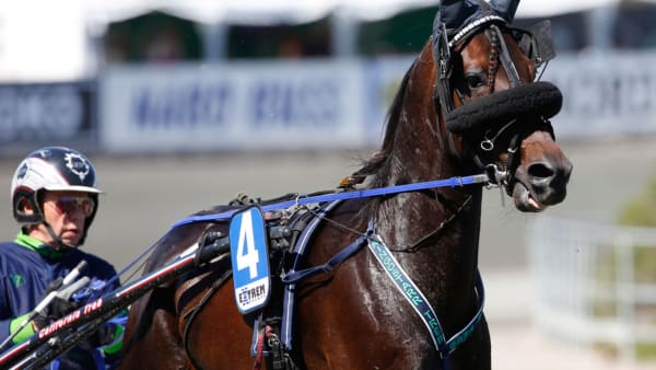 Foto: Micke Gustafsson