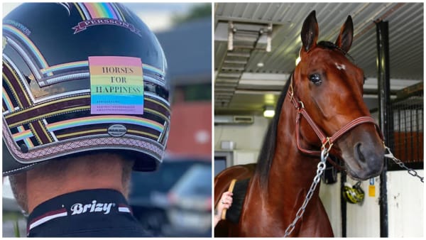 Foto: MONTAGE/TR BILD