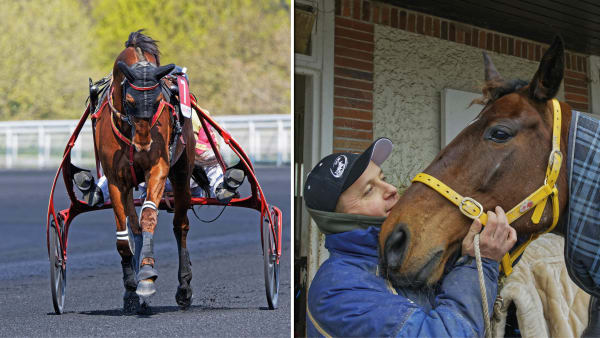 Foto: Jean-Luc Lamaère/Le TROT