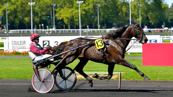 Foto: JEAN-LUC LAMAÈRE/LE TROT