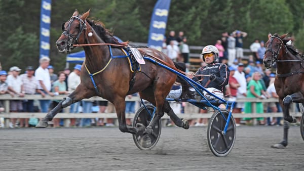 Foto: MALIN ALBINSSON / TR BILD