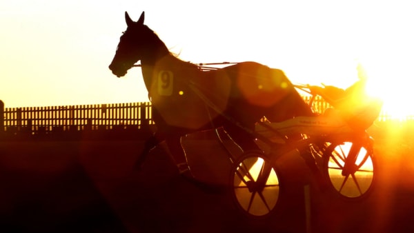 Foto: Maria Holmén/TR Bild