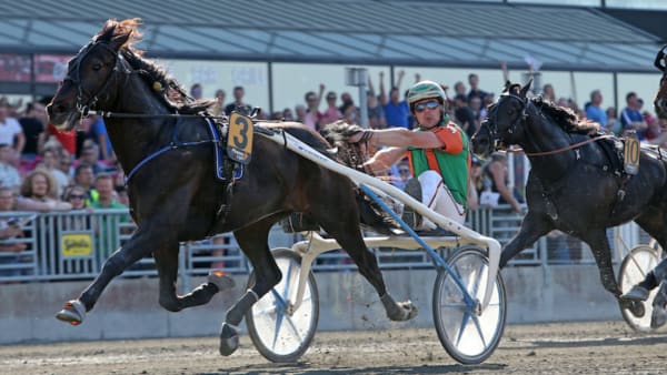 Foto: MATILDA ÖHRMAN/TR BILD