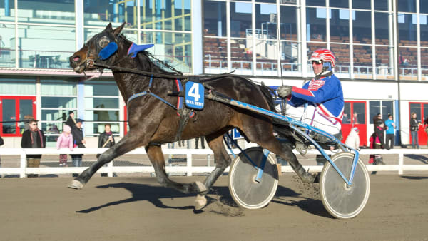 Foto: MIKAEL ROSENQUIST/ALN