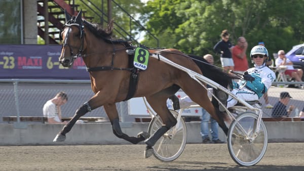 Foto: LARS JAKOBSSON / TR BILD