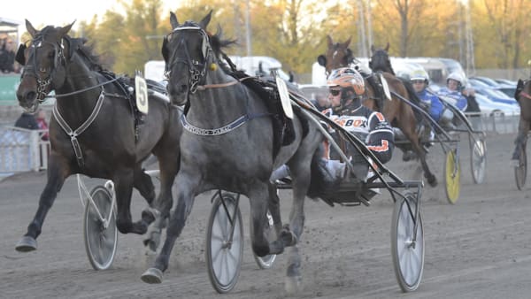 Foto: LARS JAKOBSSON/TR BILD