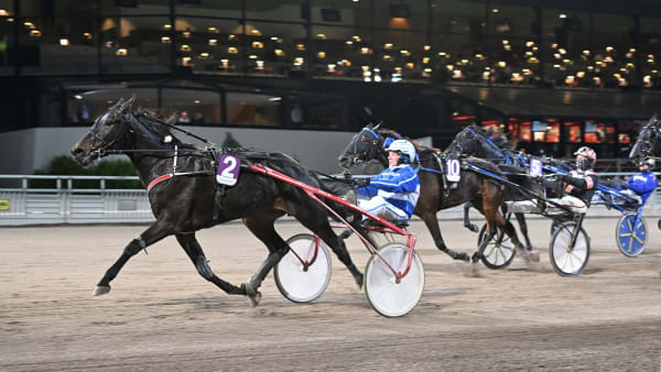 Foto: LARS JAKOBSSON / TR BILD