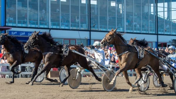 Foto: Mikael Rosenquist/TR Bild