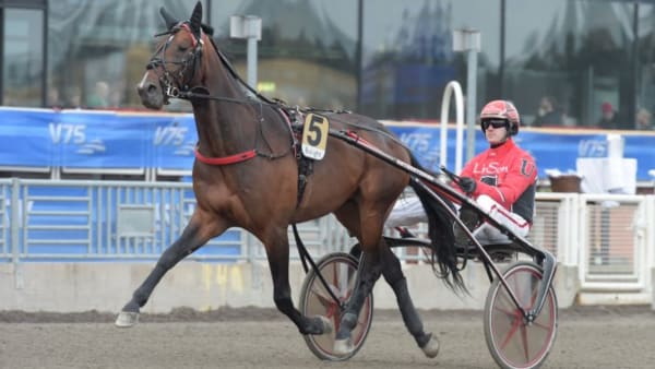 Foto: LEIF NORBERG/ALN