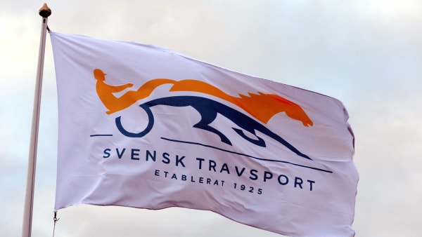 Foto: TR BILD