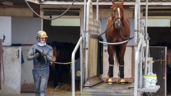 Foto: THOMAS BLOMQVIST / TR BILD